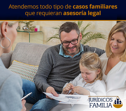 Reunión Entre Familia y Abogado en Derecho de Familia
